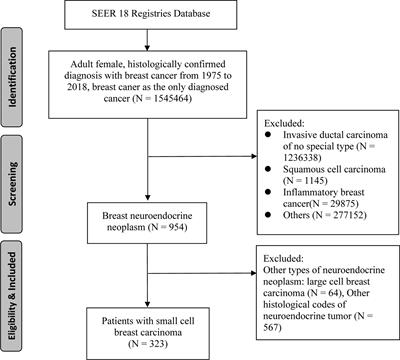 Epidemiology, Treatment and Prognosis Analysis of Small Cell Breast Carcinoma: A Population-Based Study